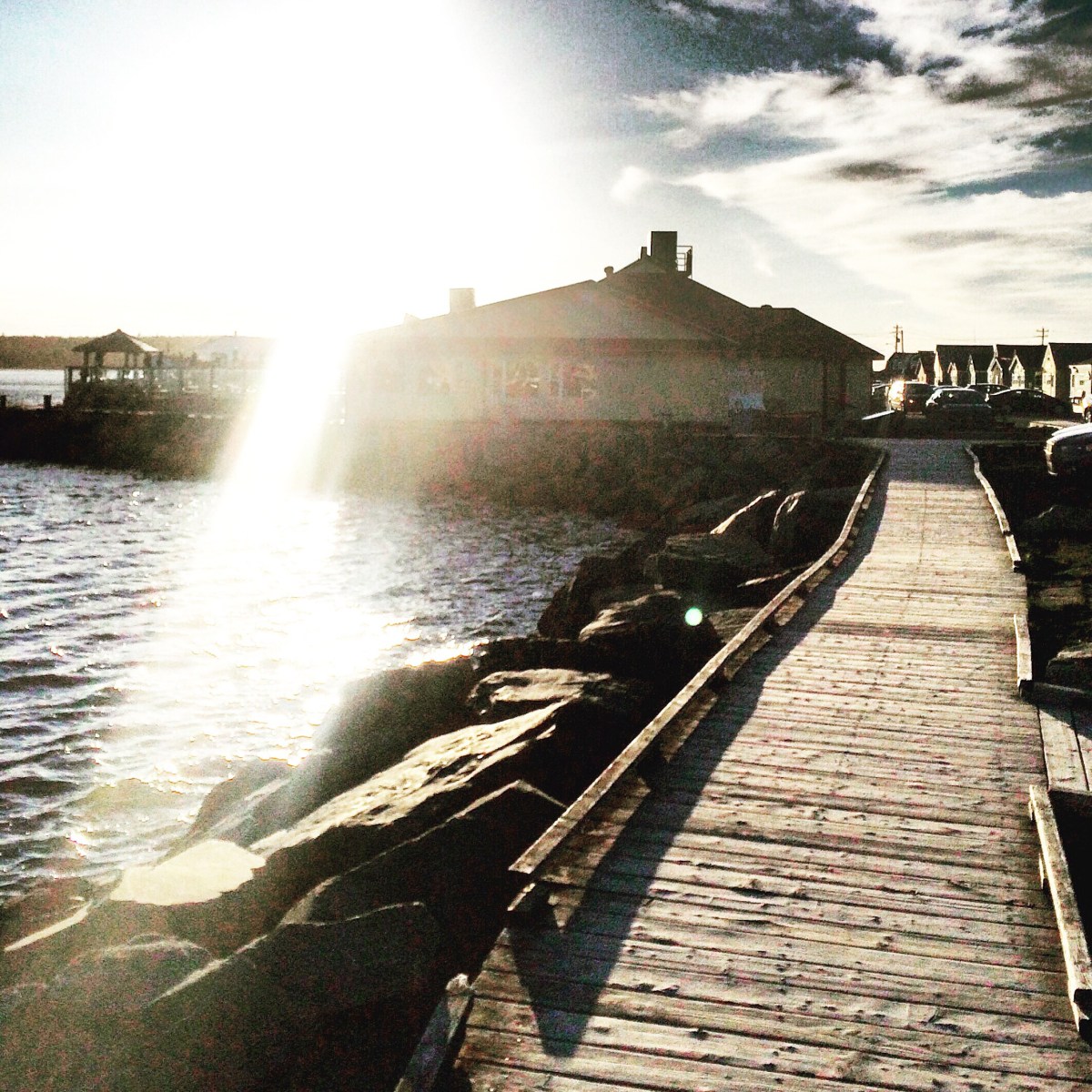 Enjoy a dog-friendly east coast experience at MacCormacks Beach in Eastern Passage, NS