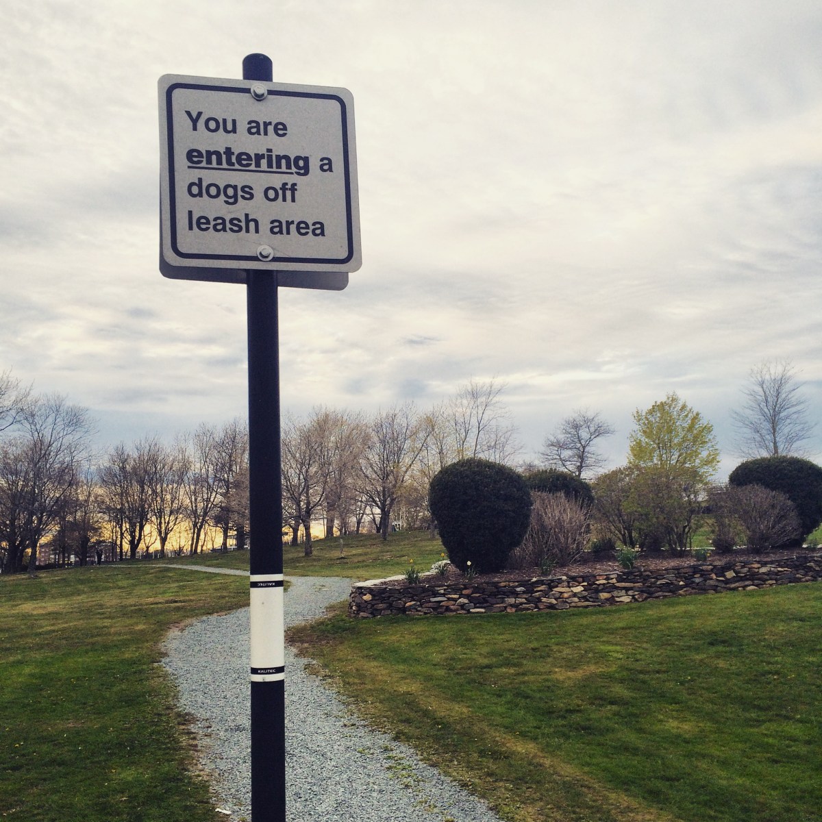 Dartmouth Common Dog-Friendly Off-Leash