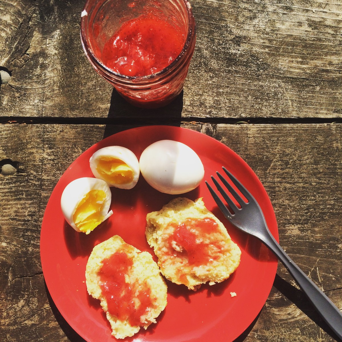 Camping with dogs at Blomidon Provincial Park, a dog-friendly campground