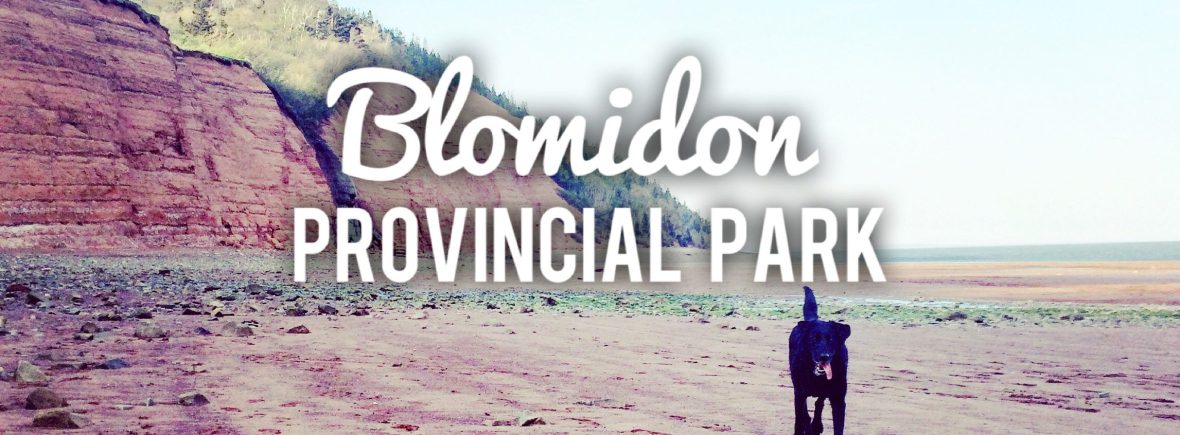 Camping with dogs at Blomidon Provincial Park, a dog-friendly campground