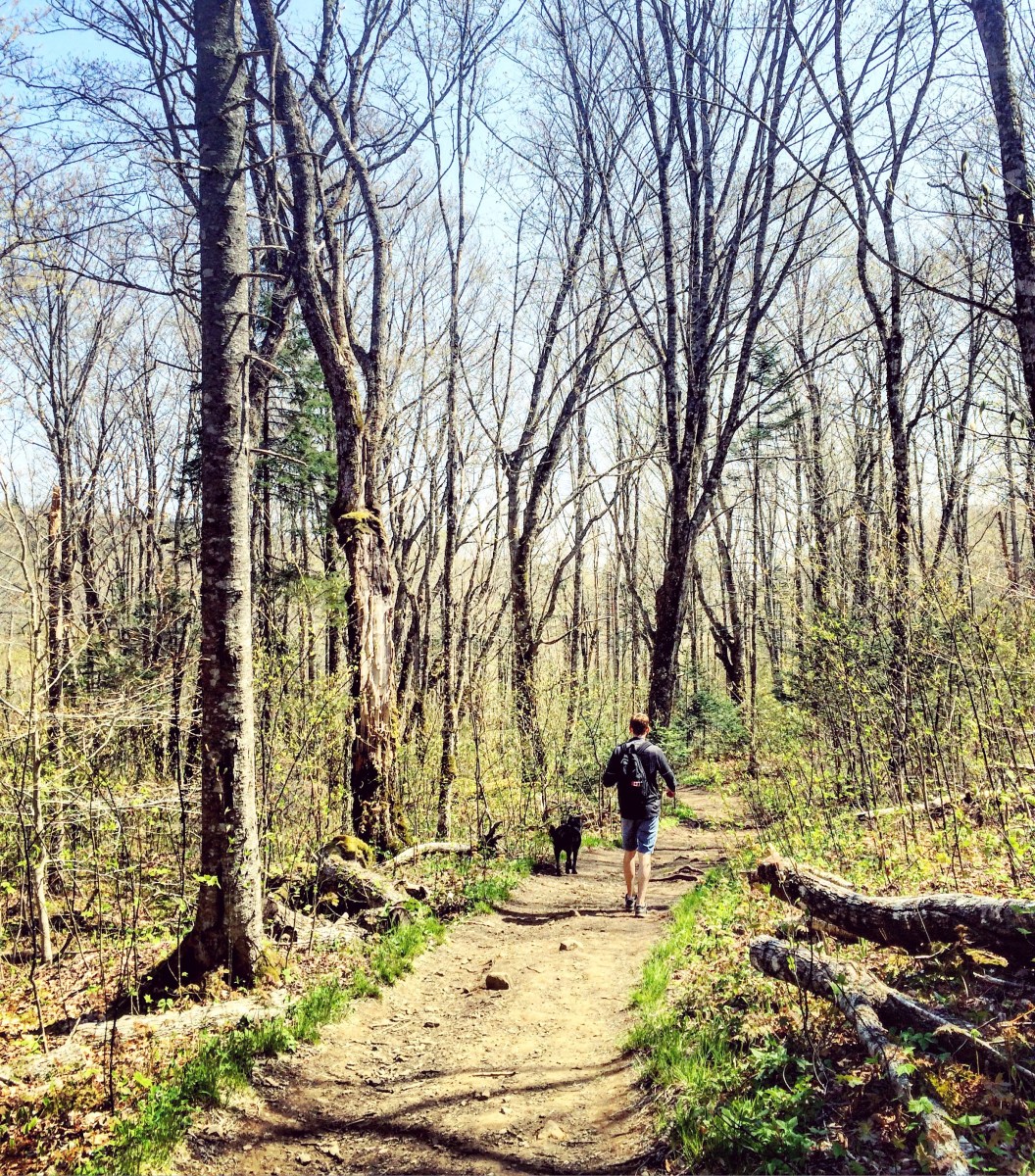 Hiking with dogs at Cape Split, Nova Scotia! This trail is dog-friendly