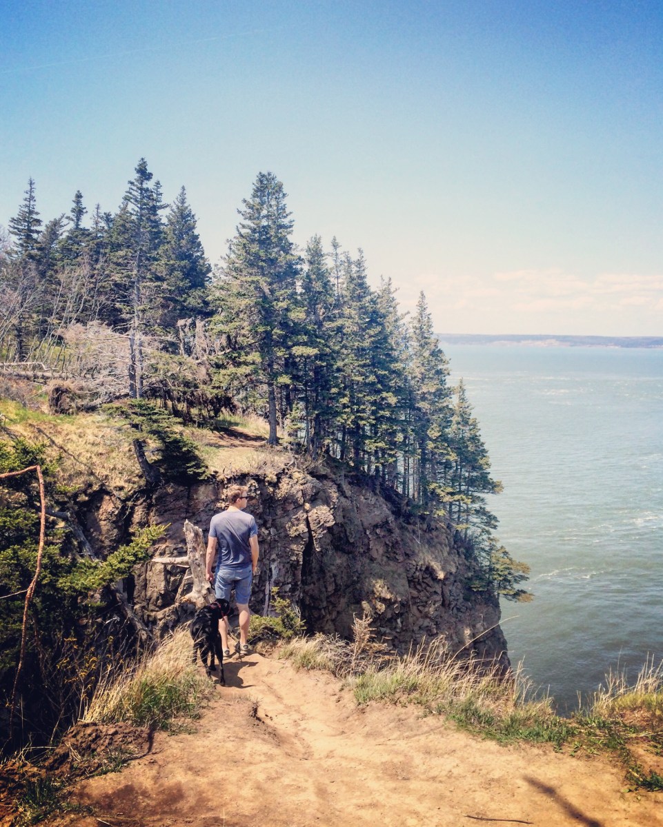 Hiking with dogs at Cape Split, Nova Scotia! This trail is dog-friendly