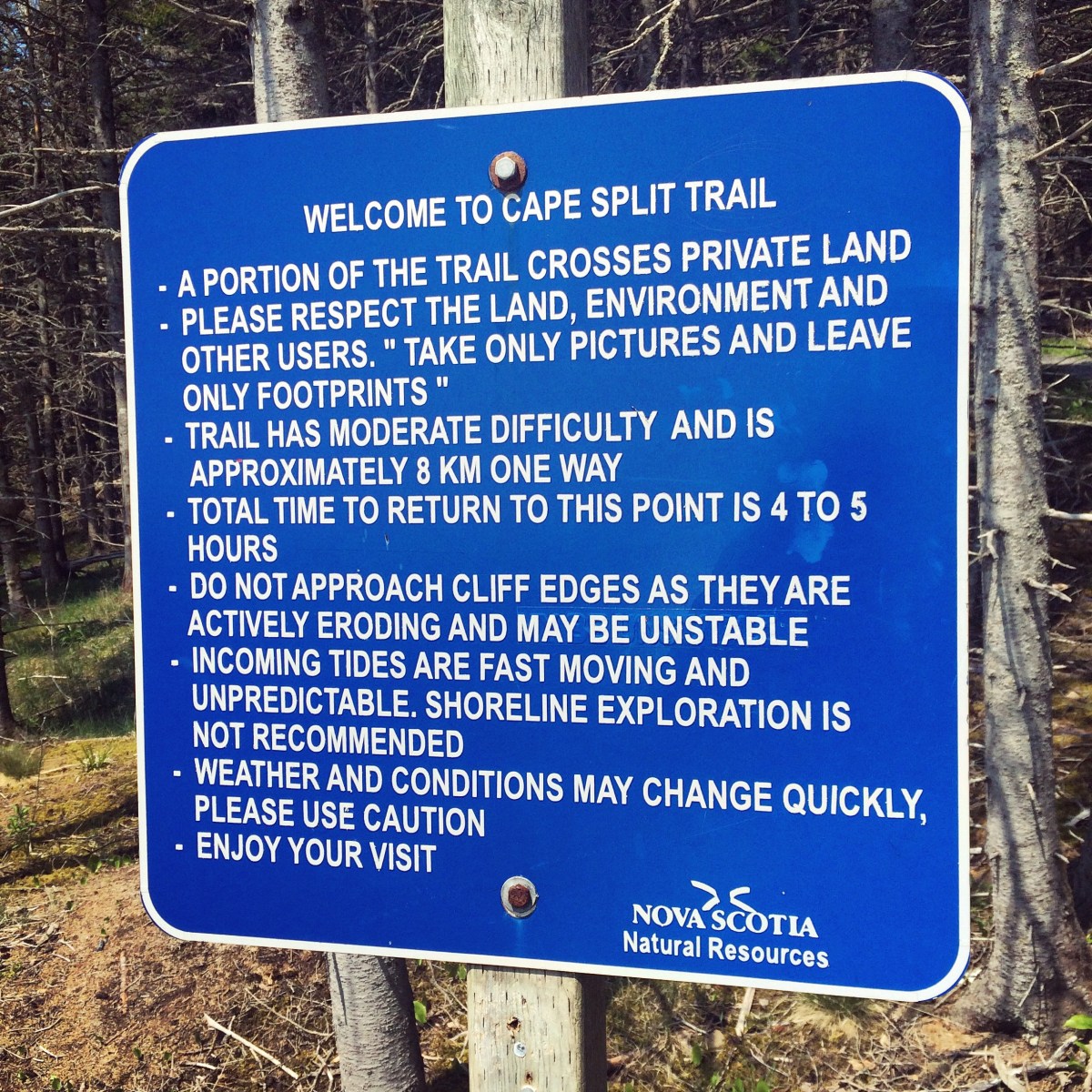 Hiking with dogs at Cape Split, Nova Scotia! This trail is dog-friendly