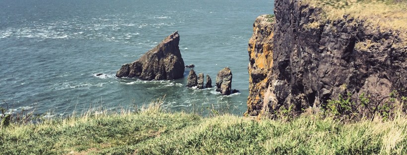Hiking with dogs at Cape Split, Nova Scotia! This trail is dog-friendly