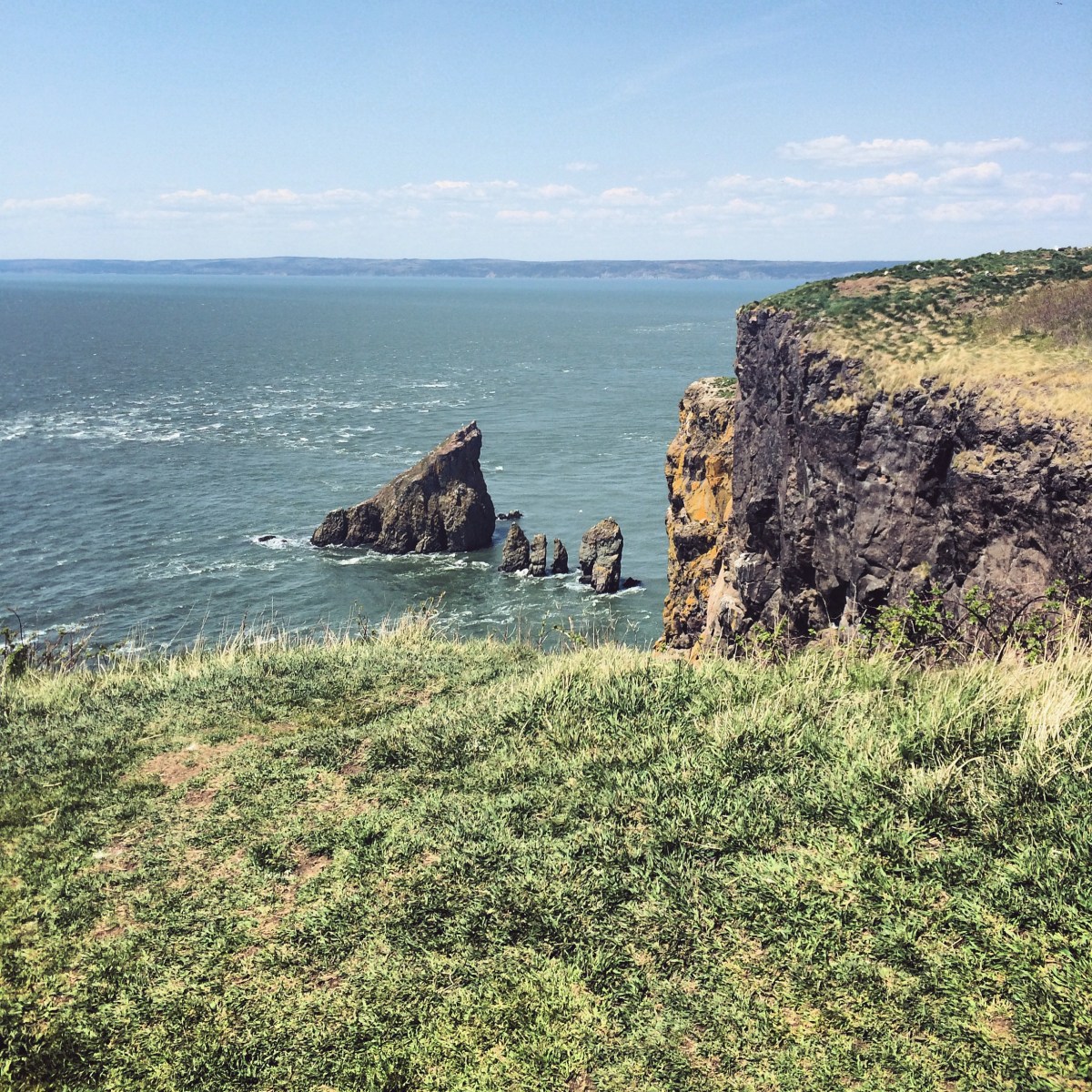 Hiking with dogs at Cape Split, Nova Scotia! This trail is dog-friendly