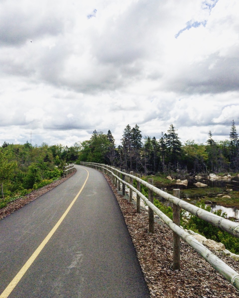 Chain of Lakes Trail in Halifax, Nova Scotia is dog-friendly! A great place to go jogging with your dog