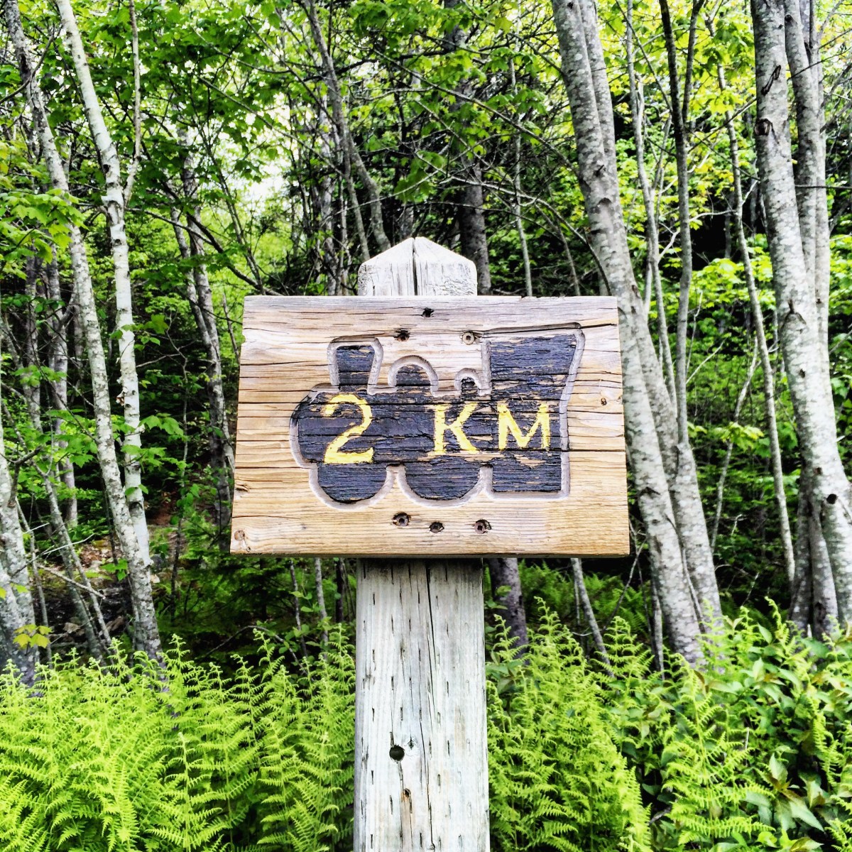 Beechville Lakeside Timberlea BLT Trail is dog-friendly! Its a great place to go jogging with your dog