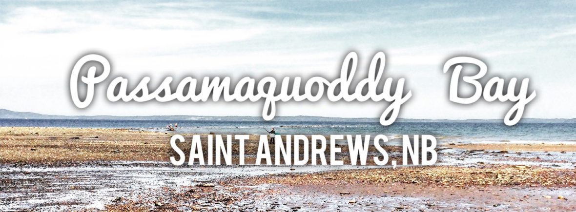 Dog-Friendly Adventures in Saint Andrews, New Brunswick