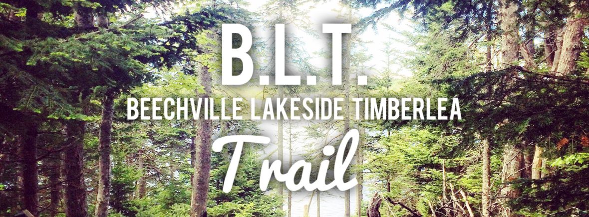 Beechville Lakeside Timberlea BLT Trail is dog-friendly! Its a great place to go jogging with your dog