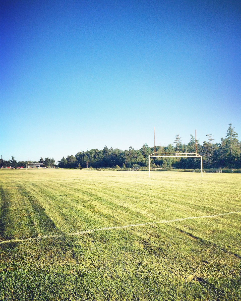 Cole Harbour Commons off-leash / fetch / dog-friendly?