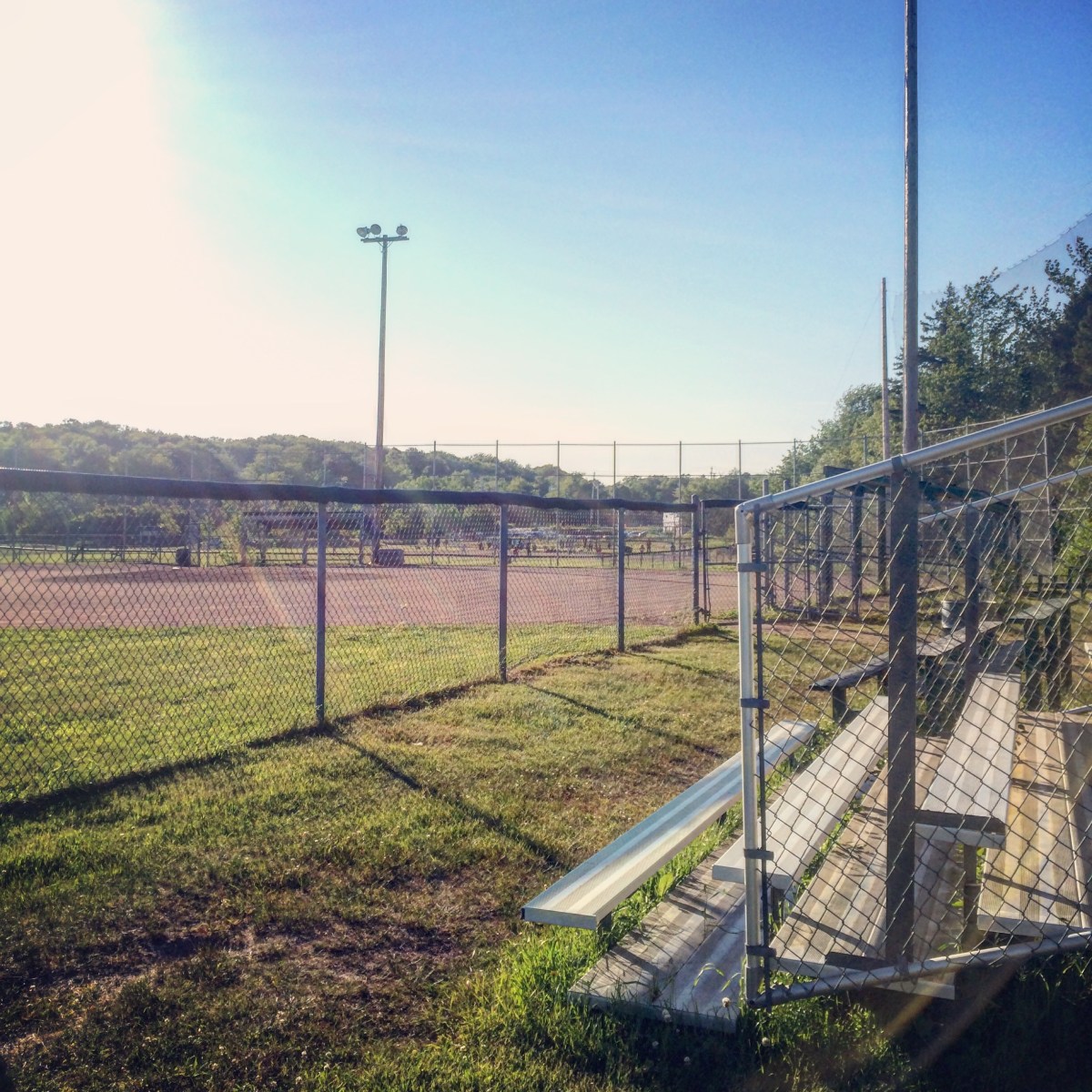 Cole Harbour Commons off-leash / fetch / dog-friendly?