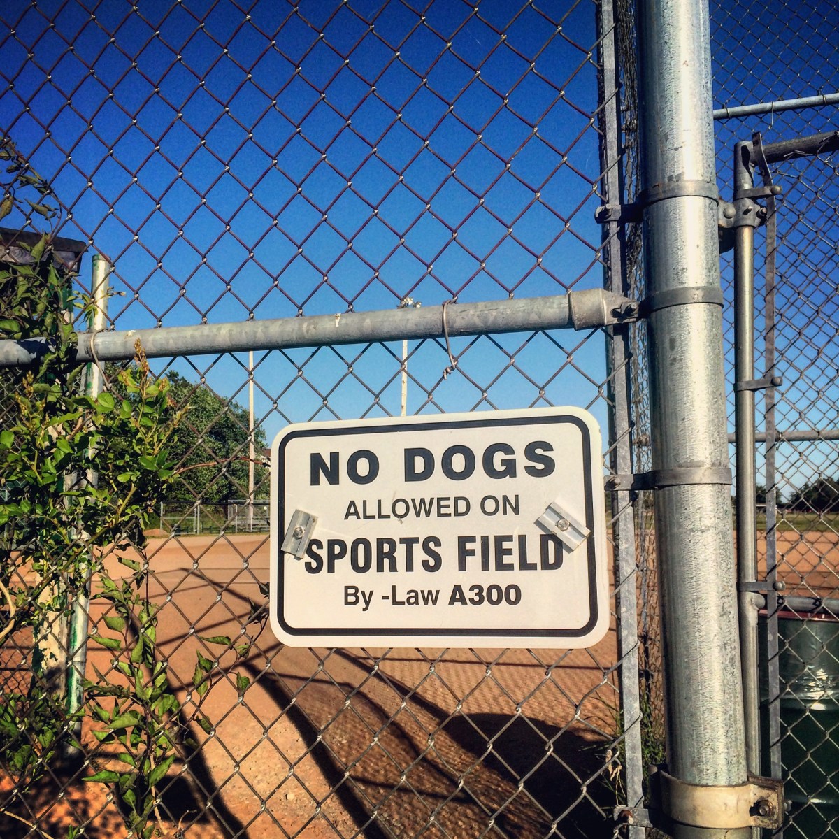 Cole Harbour Commons off-leash / fetch / dog-friendly?