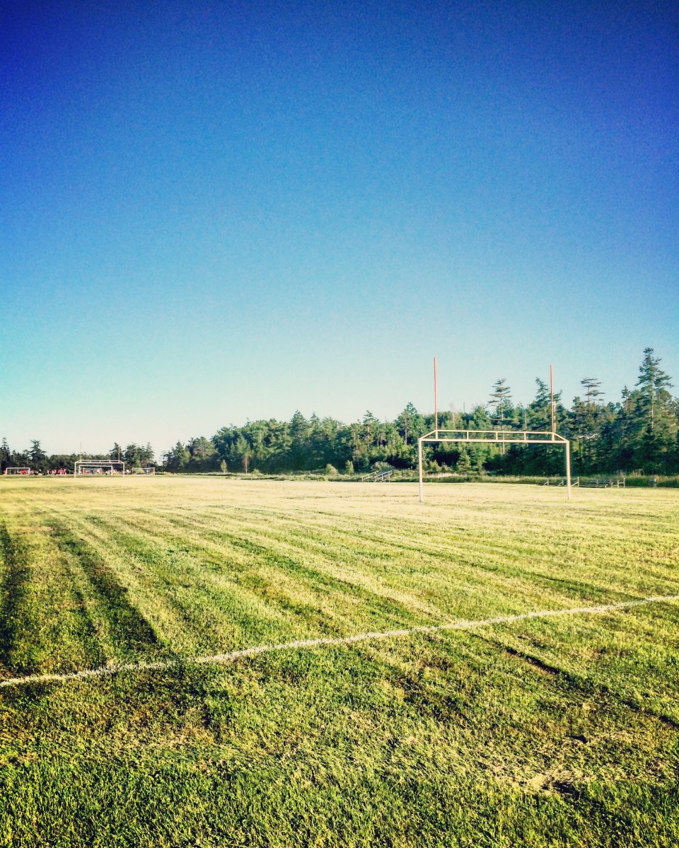 Cole Harbour Commons off-leash / fetch / dog-friendly?