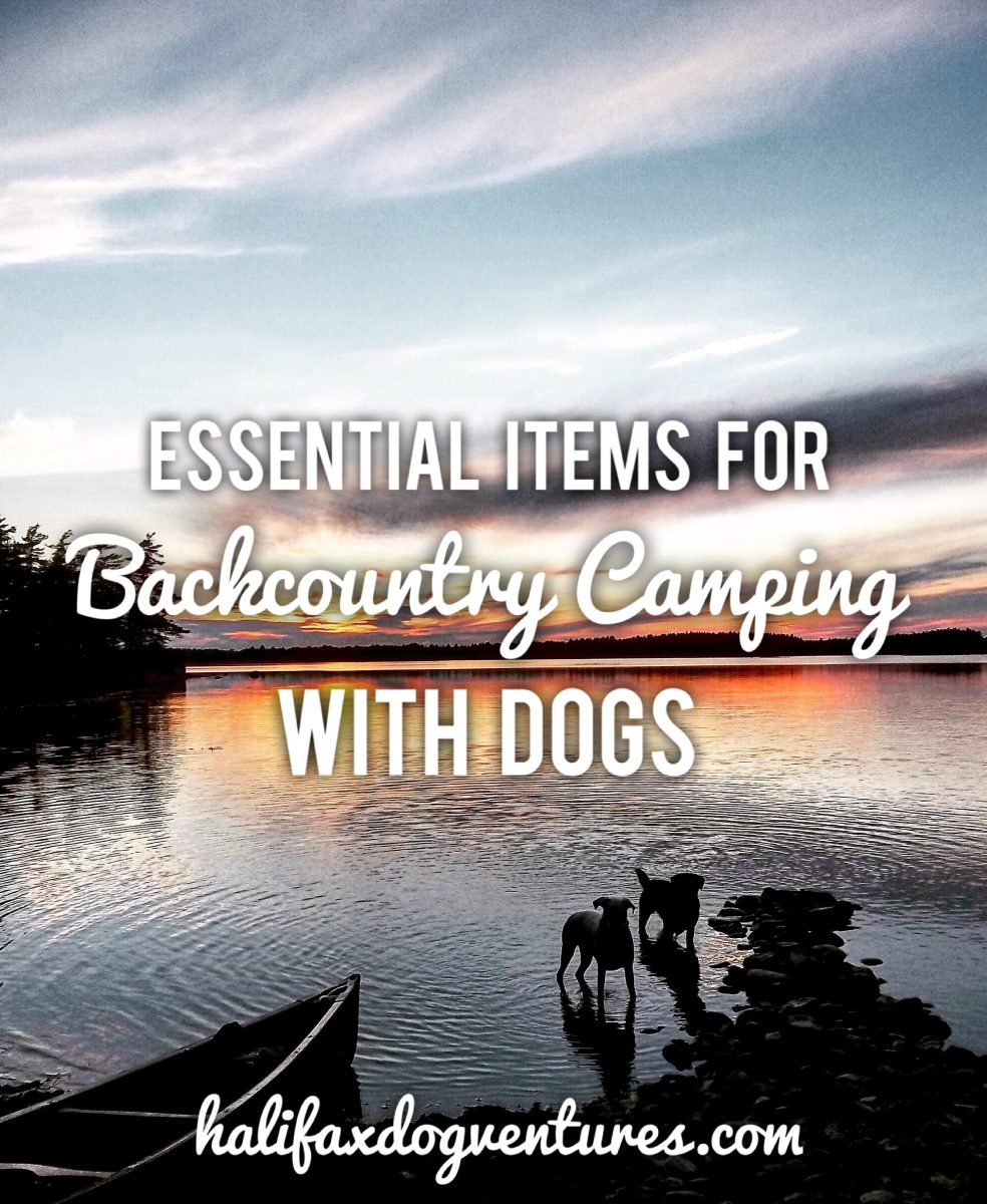 Backcountry Camping with Dogs in Kejimkujik National Park - Off-Leash Dog Friendly