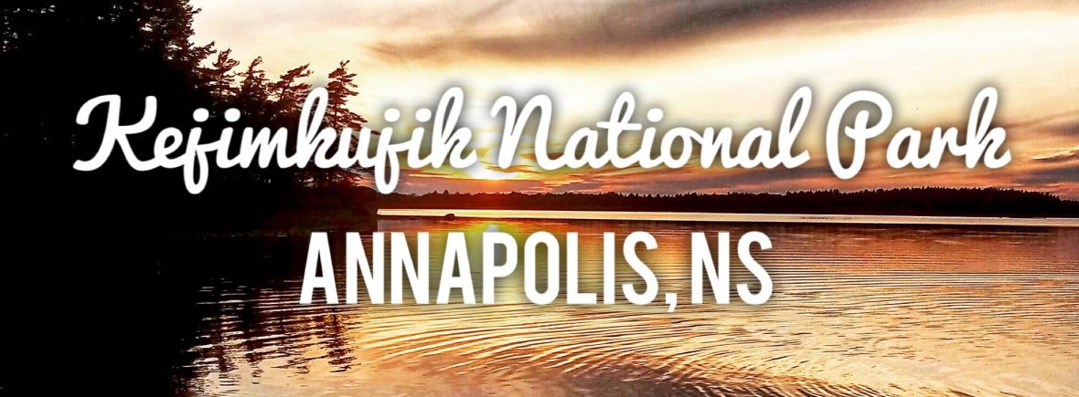 Backcountry Camping with Dogs in Kejimkujik National Park - Off-Leash Dog Friendly