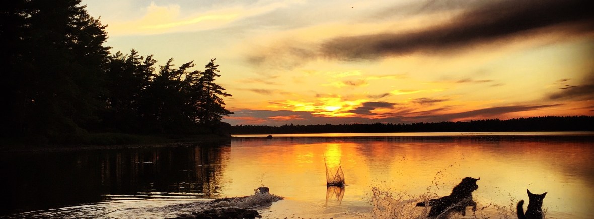 Backcountry Camping with Dogs in Kejimkujik National Park