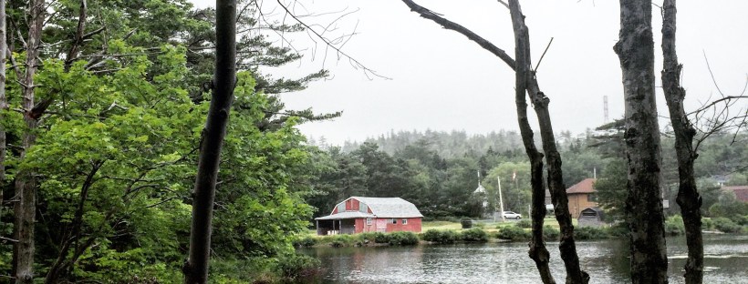 Shubenacadie Trail in Waverley, Nova Scotia Off-Leash Dog Friendly