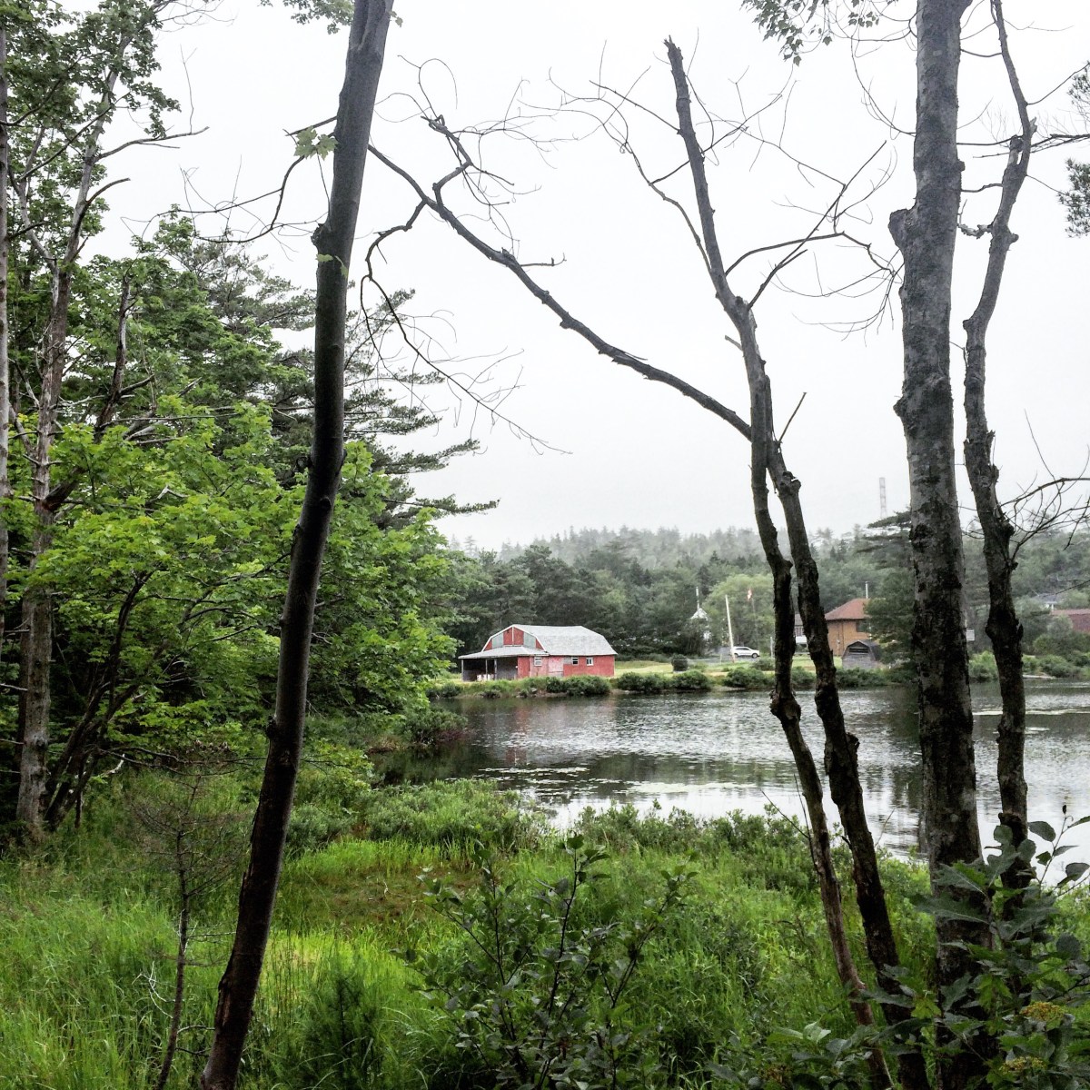 Shubenacadie Trail in Waverley, Nova Scotia Off-Leash Dog Friendly