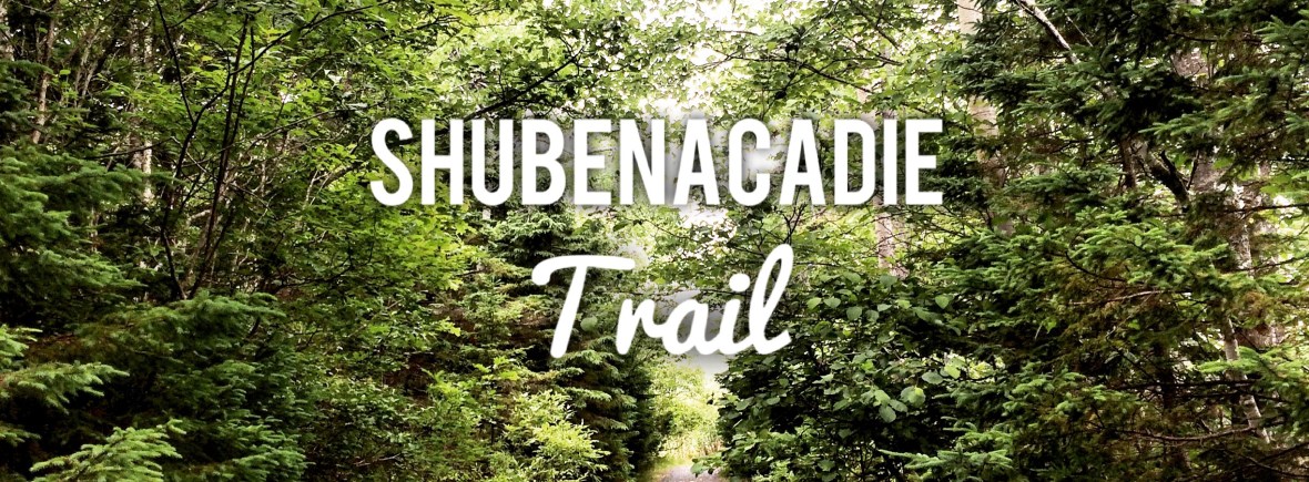 Shubenacadie Trail in Waverley, Nova Scotia Off-Leash Dog Friendly