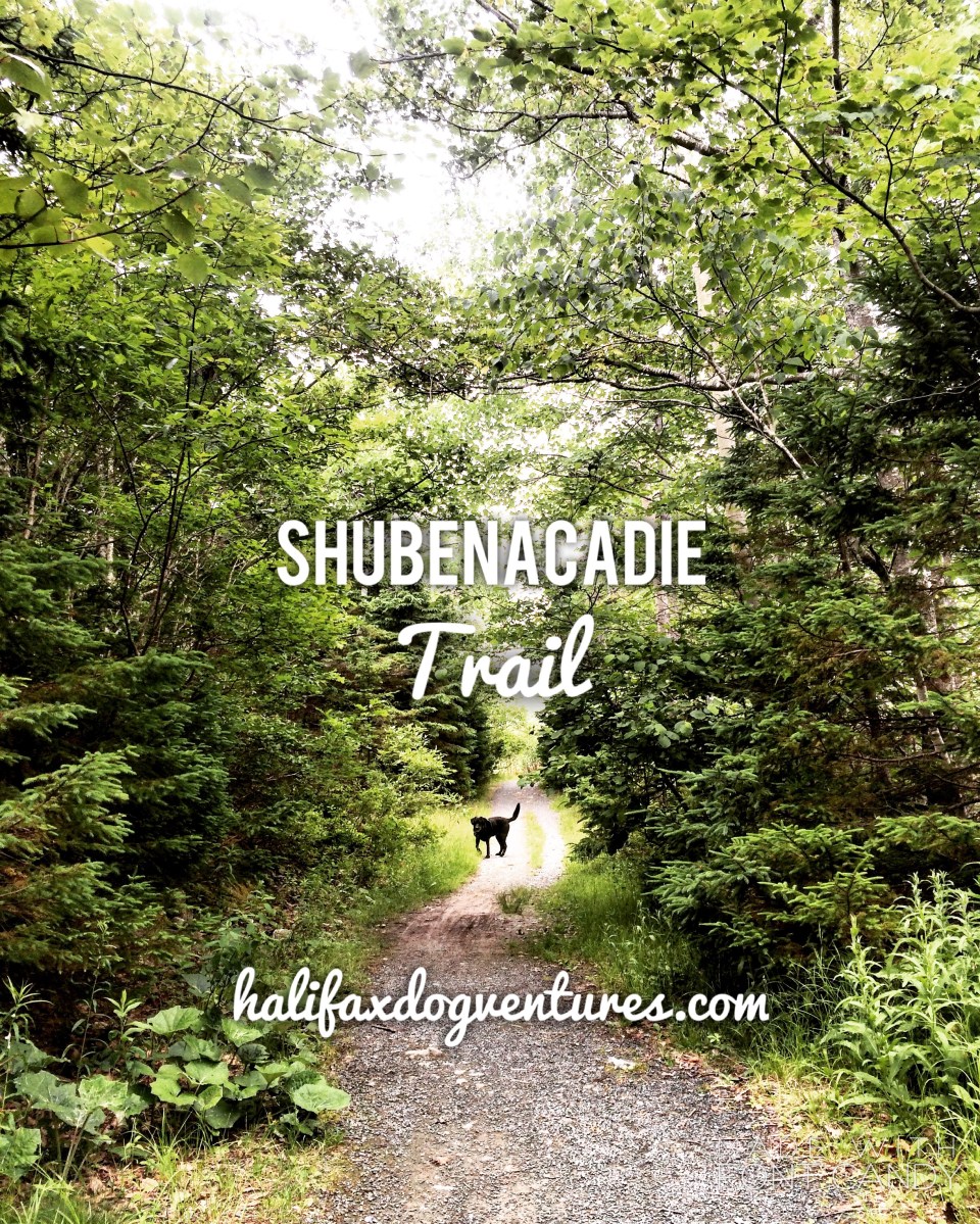 Shubenacadie Trail in Waverley, Nova Scotia Off-Leash Dog Friendly