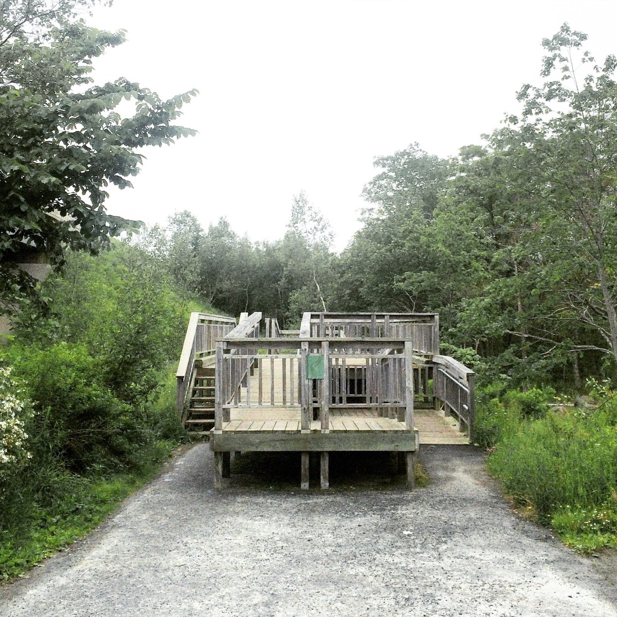 Shubenacadie Trail in Waverley, Nova Scotia Off-Leash Dog Friendly