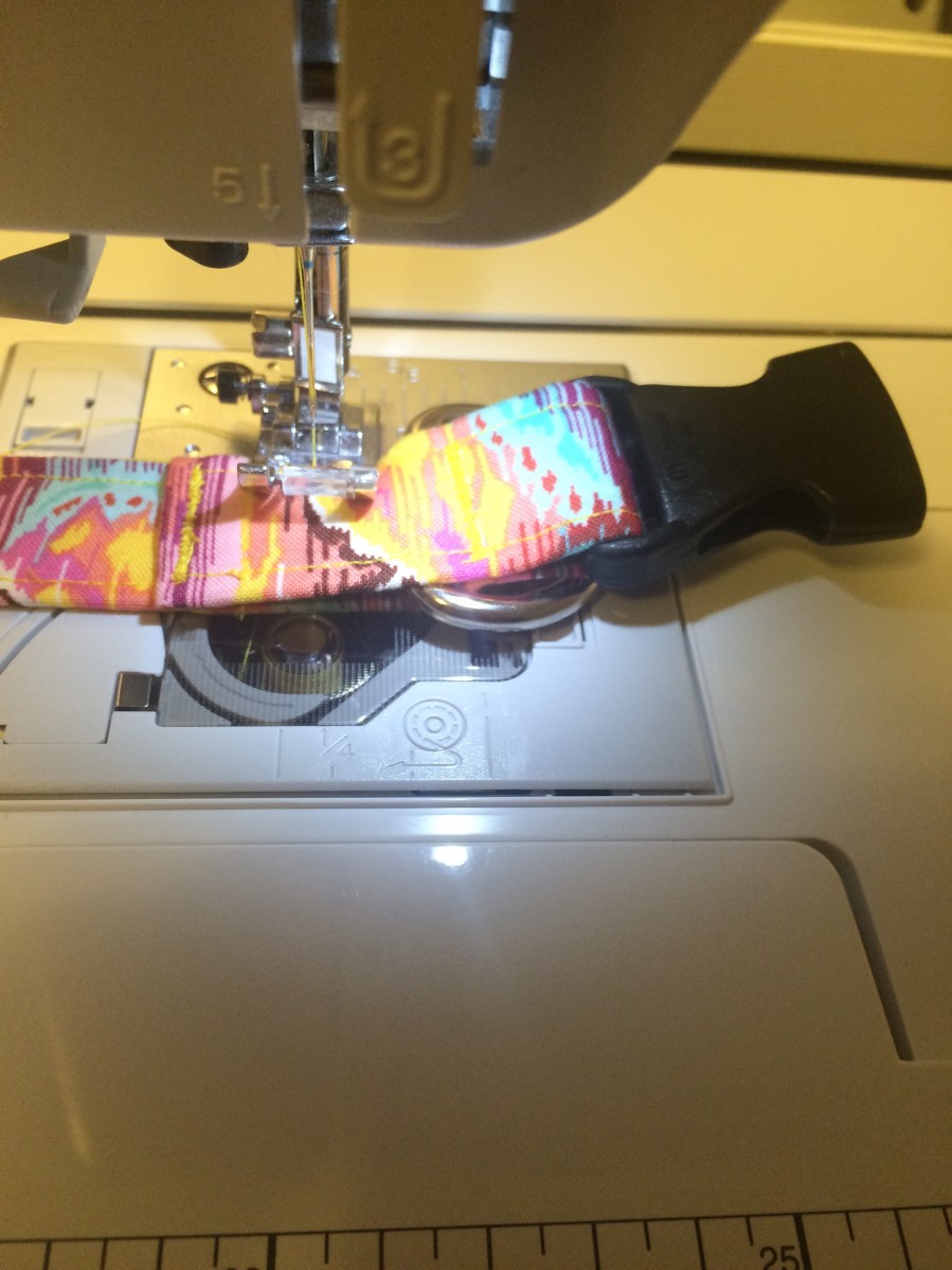 DIY Homemade Adjustable Fabric Dog Collar Tutorial