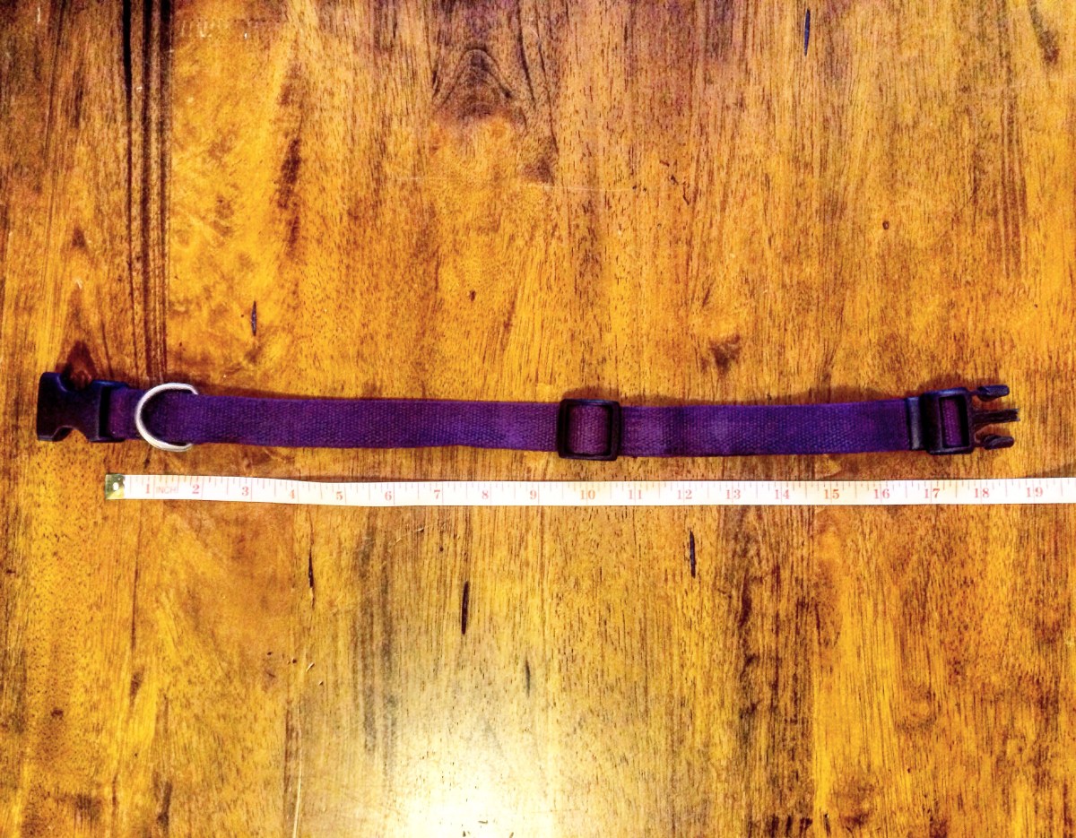 DIY Homemade Adjustable Fabric Dog Collar Tutorial