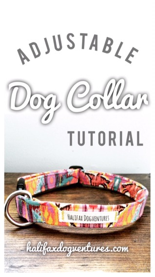 DIY Homemade Adjustable Fabric Dog Collar Tutorial