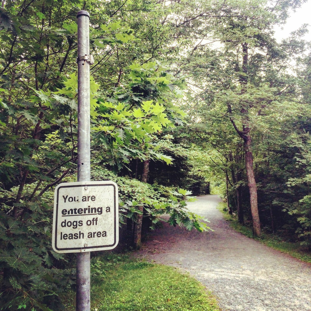 Point Pleasant Park in Halifax, Nova Scotia Off-Leash Dog Friendly