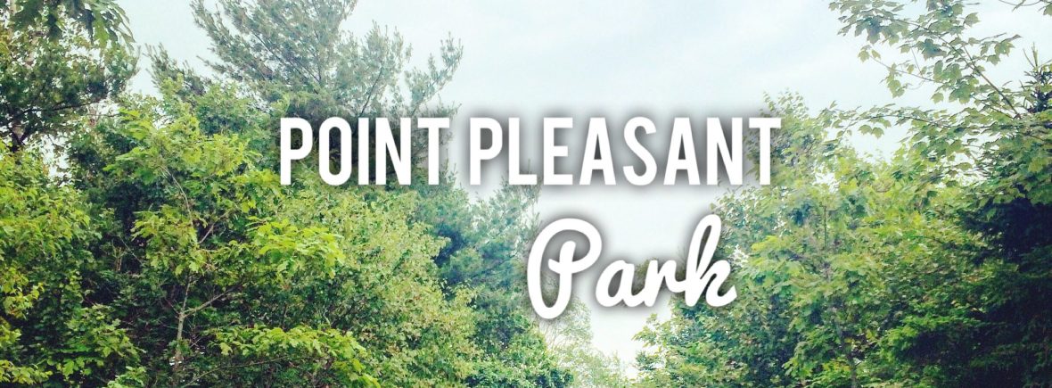 Point Pleasant Park in Halifax, Nova Scotia Off-Leash Dog Friendly