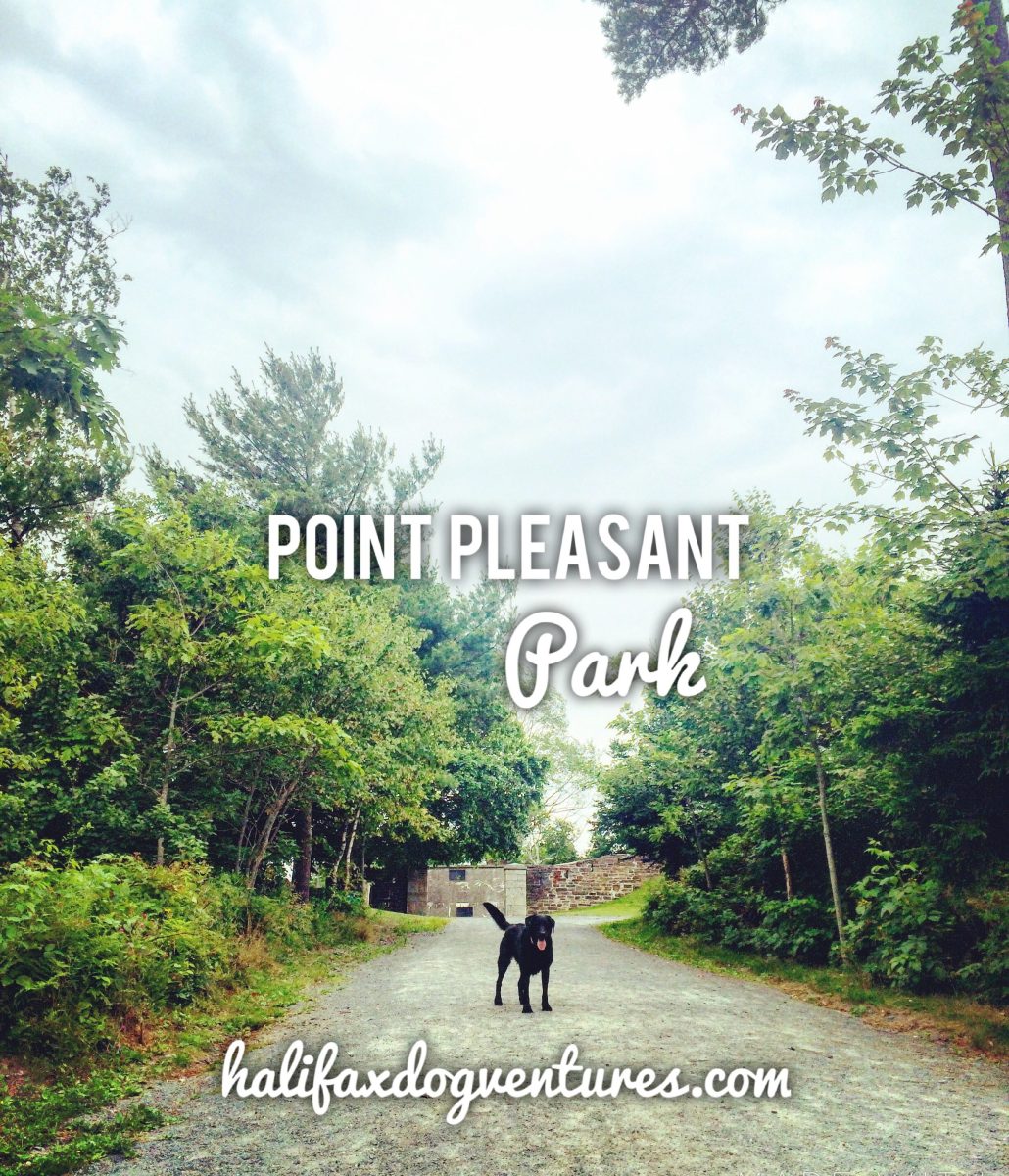 Point Pleasant Park in Halifax, Nova Scotia Off-Leash Dog Friendly