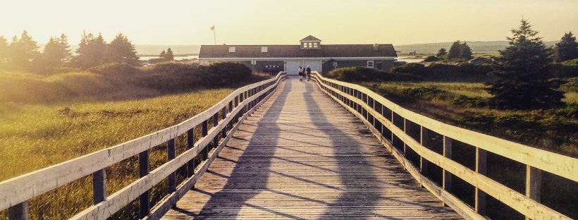 Rainbow Haven Beach in Cole Harbour, Nova Scotia Off-Leash Dog Friendly