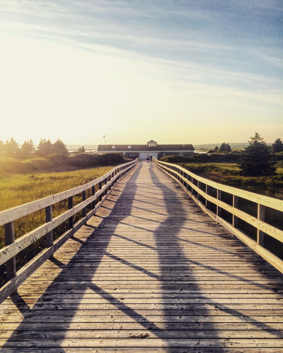 Rainbow Haven Beach in Cole Harbour, Nova Scotia Off-Leash Dog Friendly