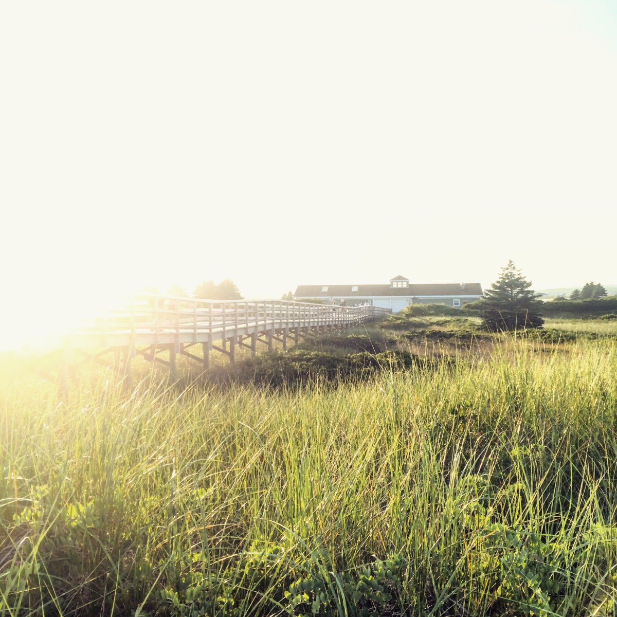Rainbow Haven Beach in Cole Harbour, Nova Scotia Off-Leash Dog Friendly