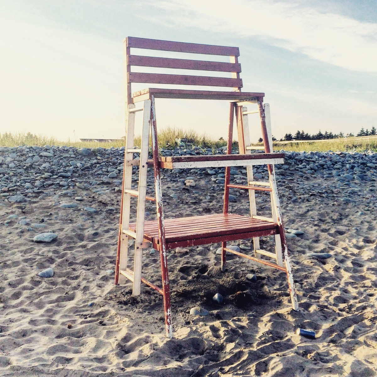 Rainbow Haven Beach in Cole Harbour, Nova Scotia Off-Leash Dog Friendly