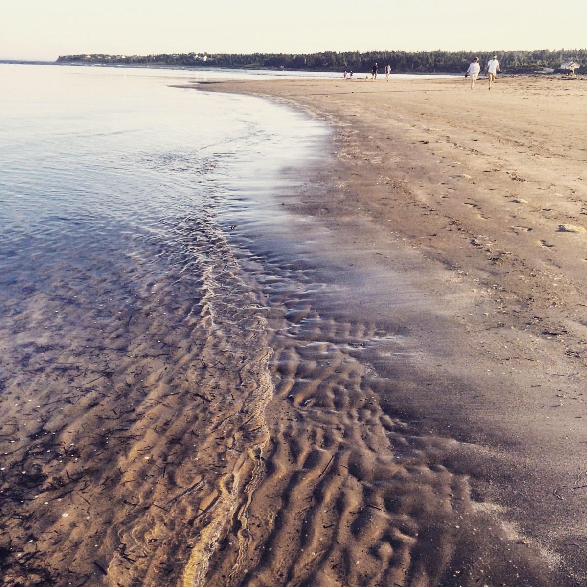 Rainbow Haven Beach in Cole Harbour, Nova Scotia Off-Leash Dog Friendly