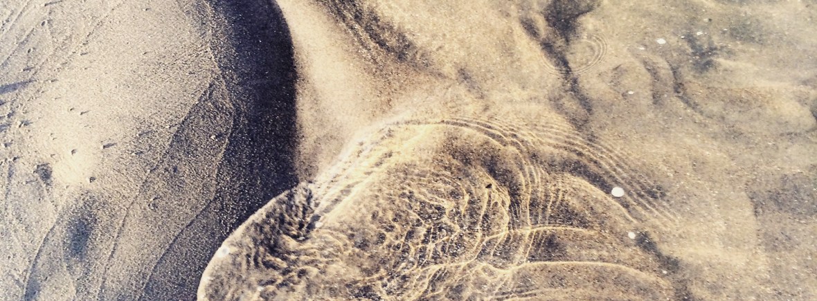 Rainbow Haven Beach in Cole Harbour, Nova Scotia Off-Leash Dog Friendly