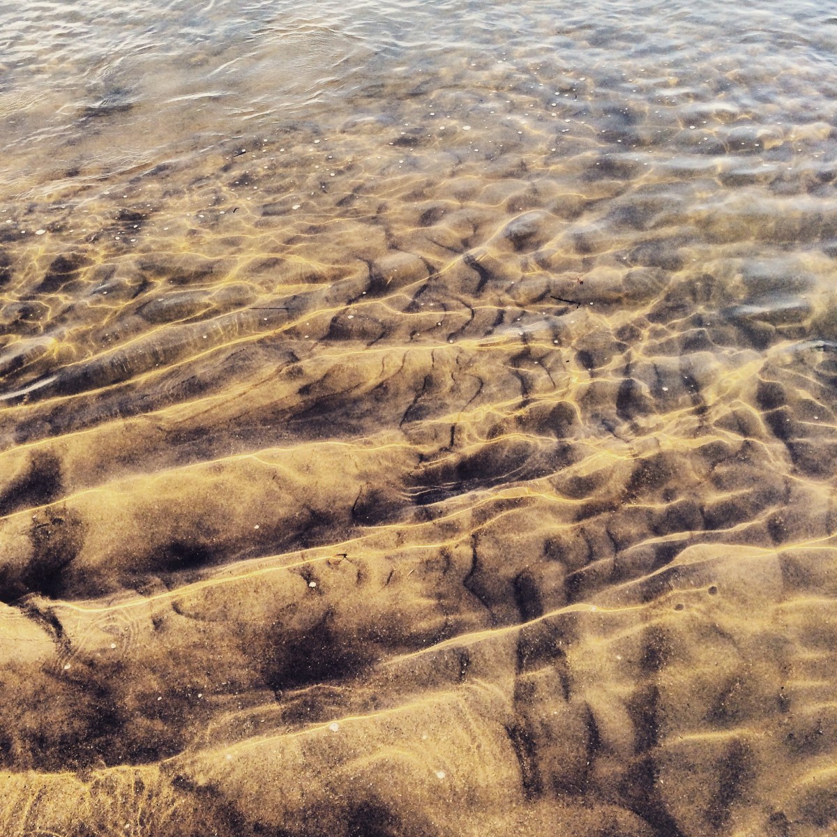 Rainbow Haven Beach in Cole Harbour, Nova Scotia Off-Leash Dog Friendly