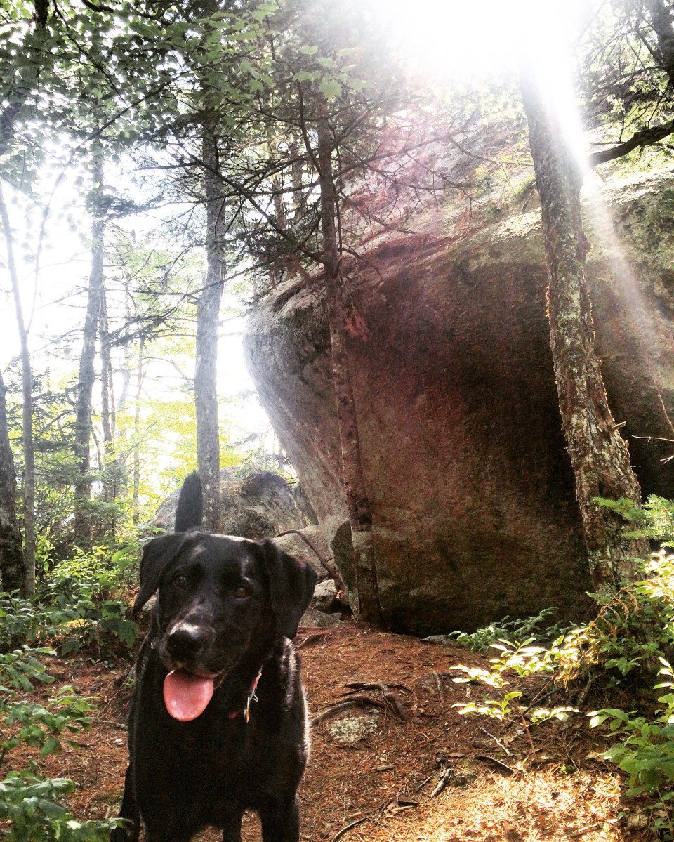 Crowbar Lake Trail in Porters Lake, Nova Scotia Off-Leash Dog Friendly