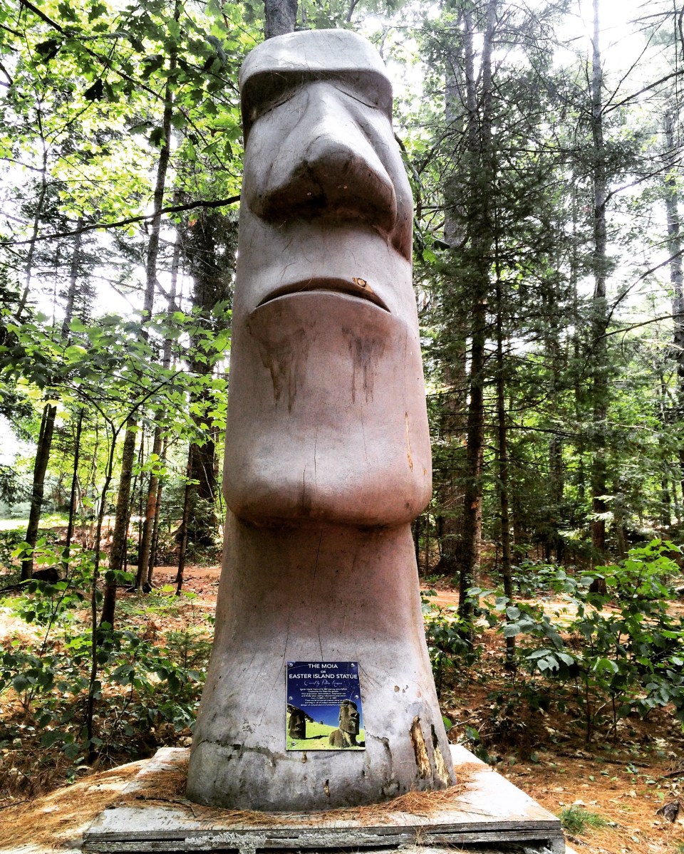 White Rapids Adventure Trail in Fredericton Junction, New Brunswick Off-Leash Dog Friendly