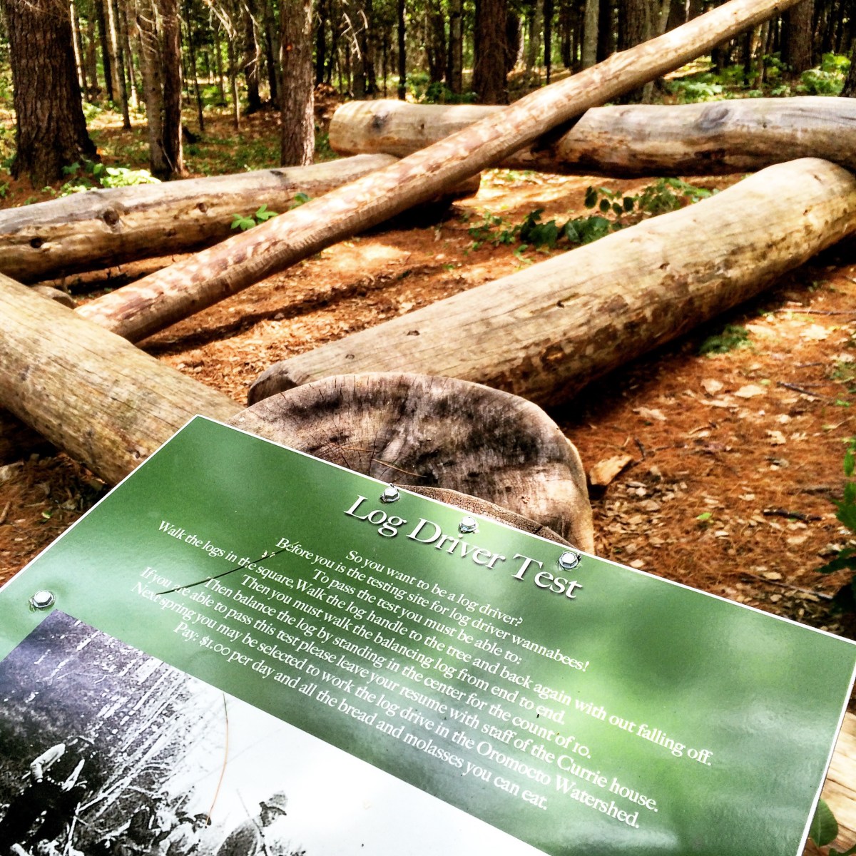 White Rapids Adventure Trail in Fredericton Junction, New Brunswick Off-Leash Dog Friendly