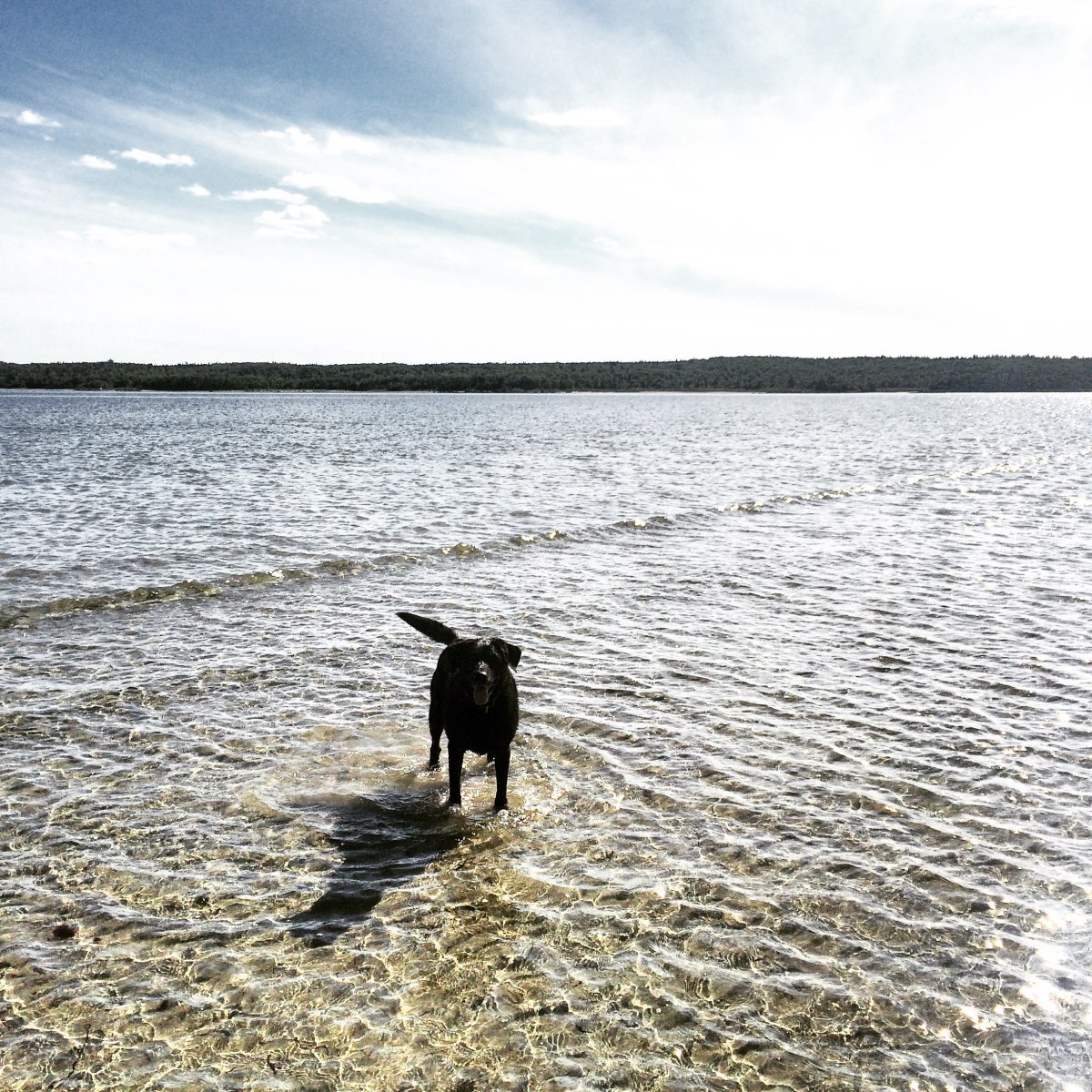 Port Joli Beach in Port Joli, Nova Scotia Off-Leash Dog Friendly