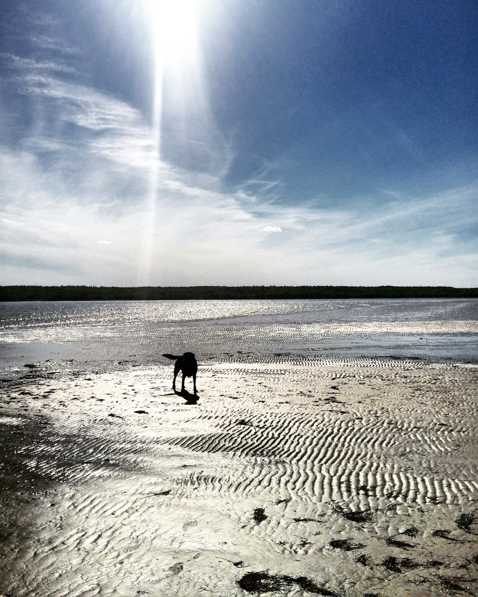 Port Joli Beach in Port Joli, Nova Scotia Off-Leash Dog Friendly