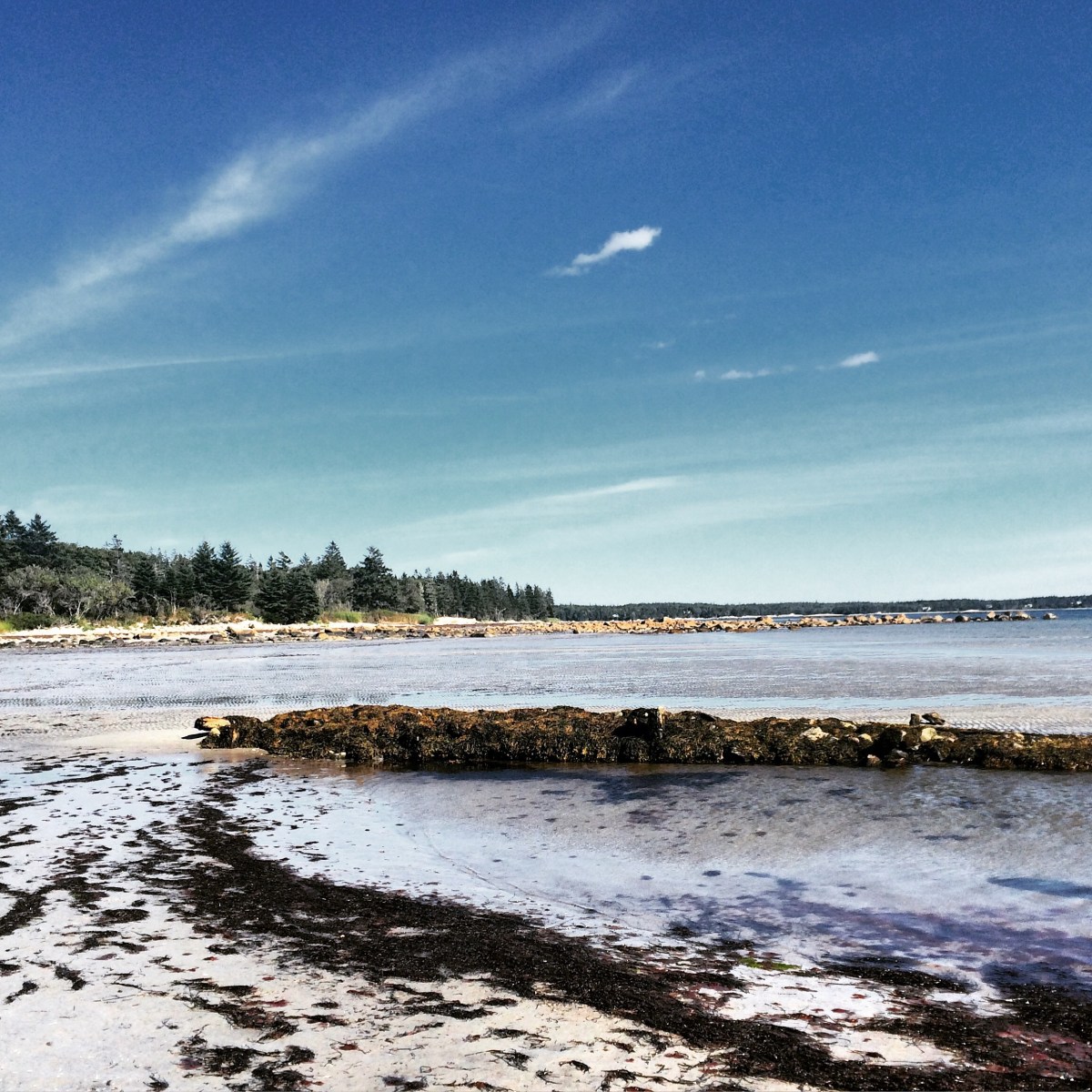 Port Joli Beach in Port Joli, Nova Scotia Off-Leash Dog Friendly