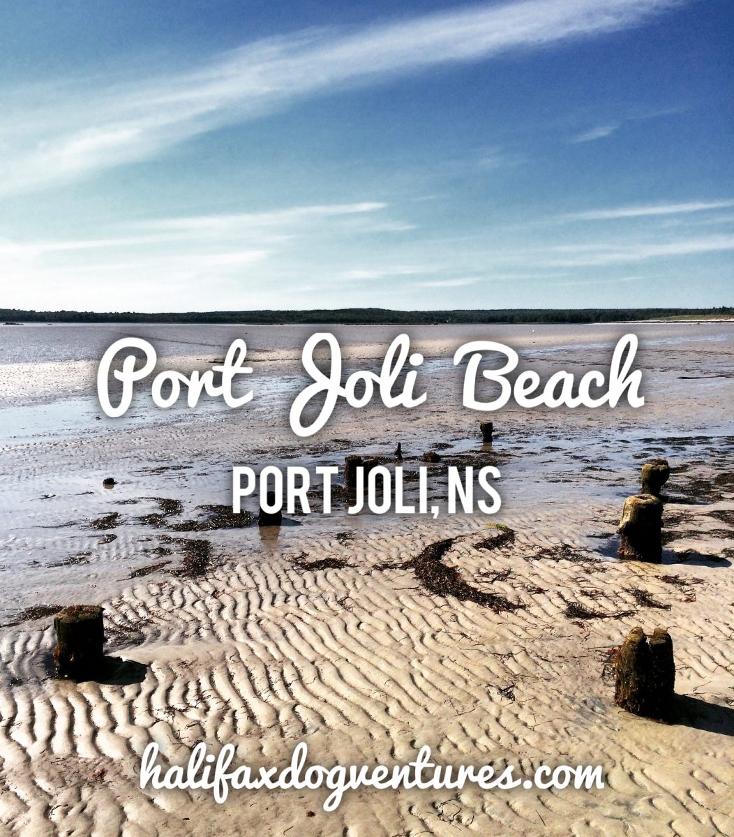 Port Joli Beach in Port Joli, Nova Scotia Off-Leash Dog Friendly