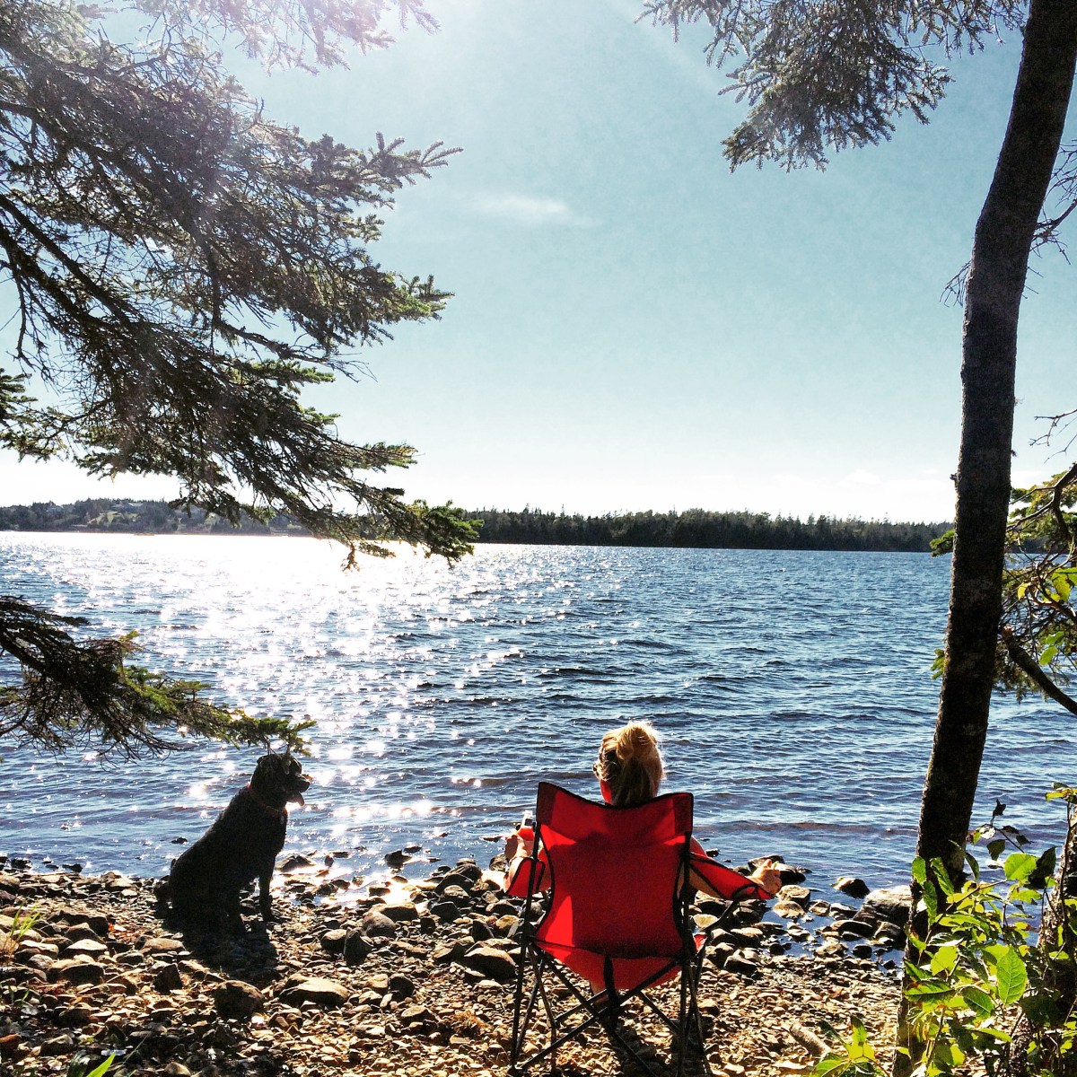 Porters Lake Provincial Park Campground Off-Leash Dog Friendly