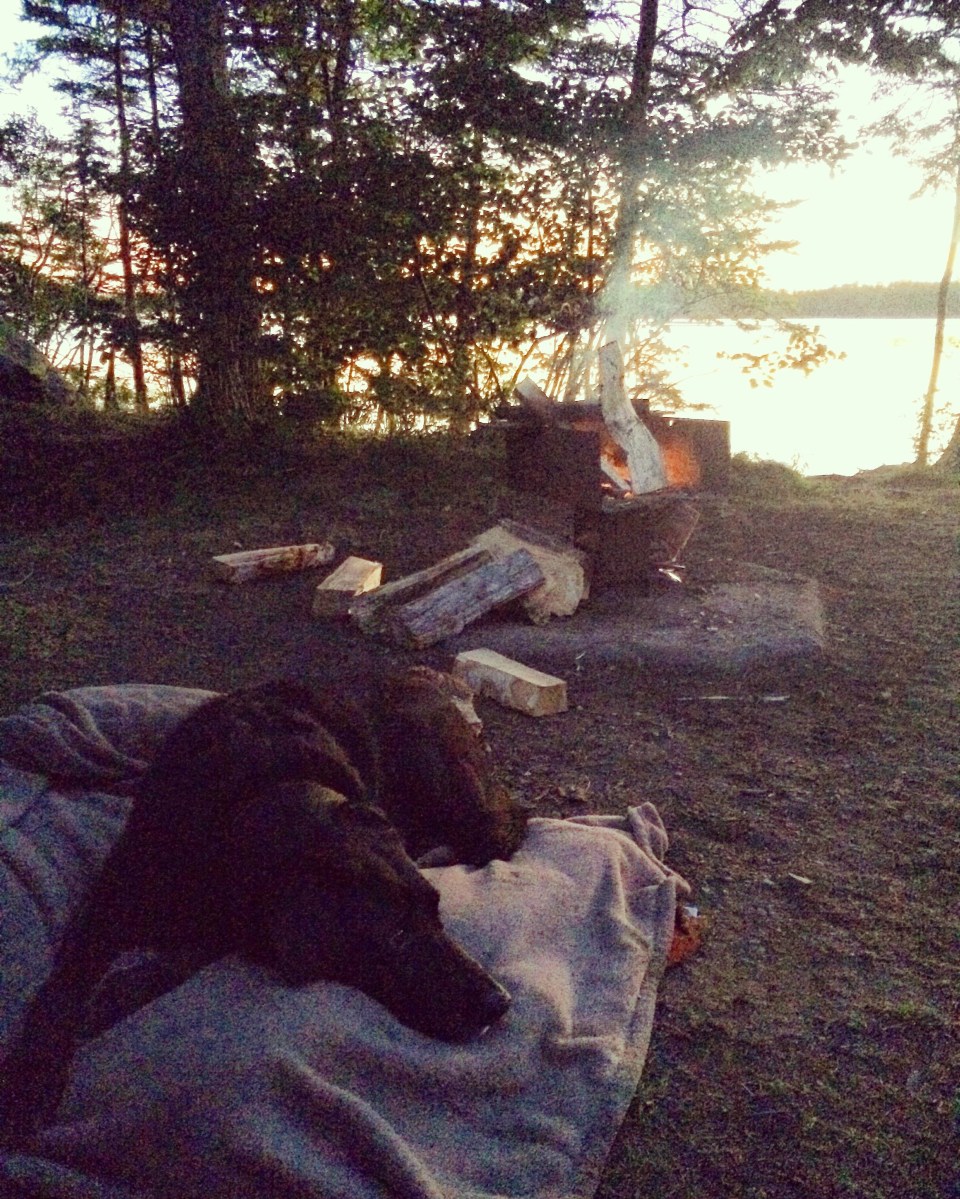 Porters Lake Provincial Park Campground Off-Leash Dog Friendly