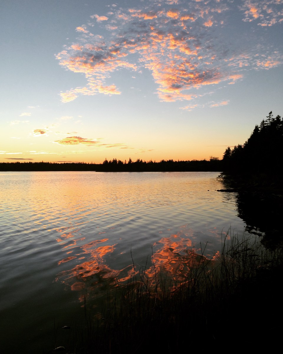 Porters Lake Provincial Park Campground Off-Leash Dog Friendly