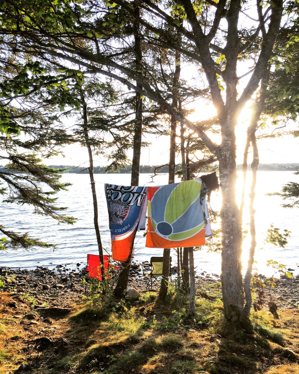 Porters Lake Provincial Park Campground Off-Leash Dog Friendly