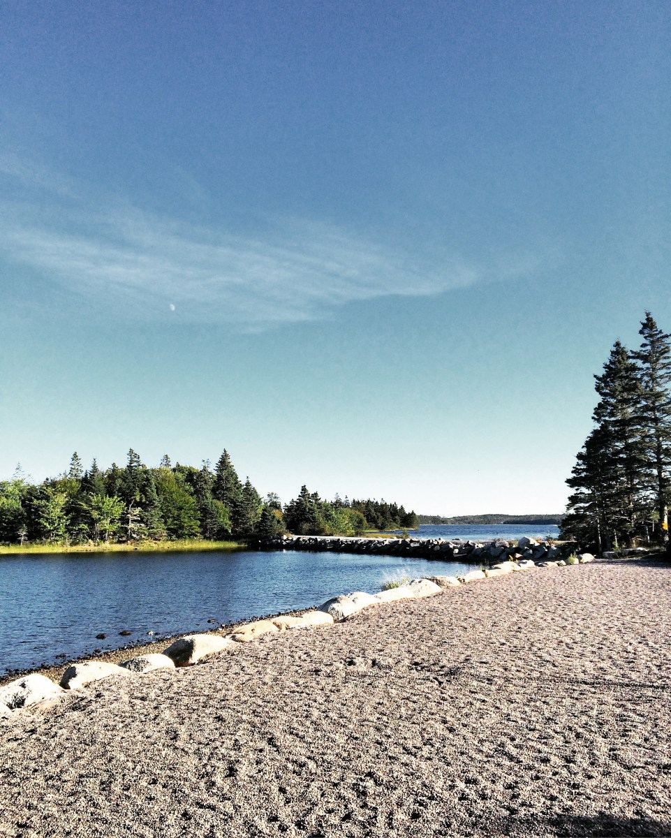 Porters Lake Provincial Park Campground Off-Leash Dog Friendly